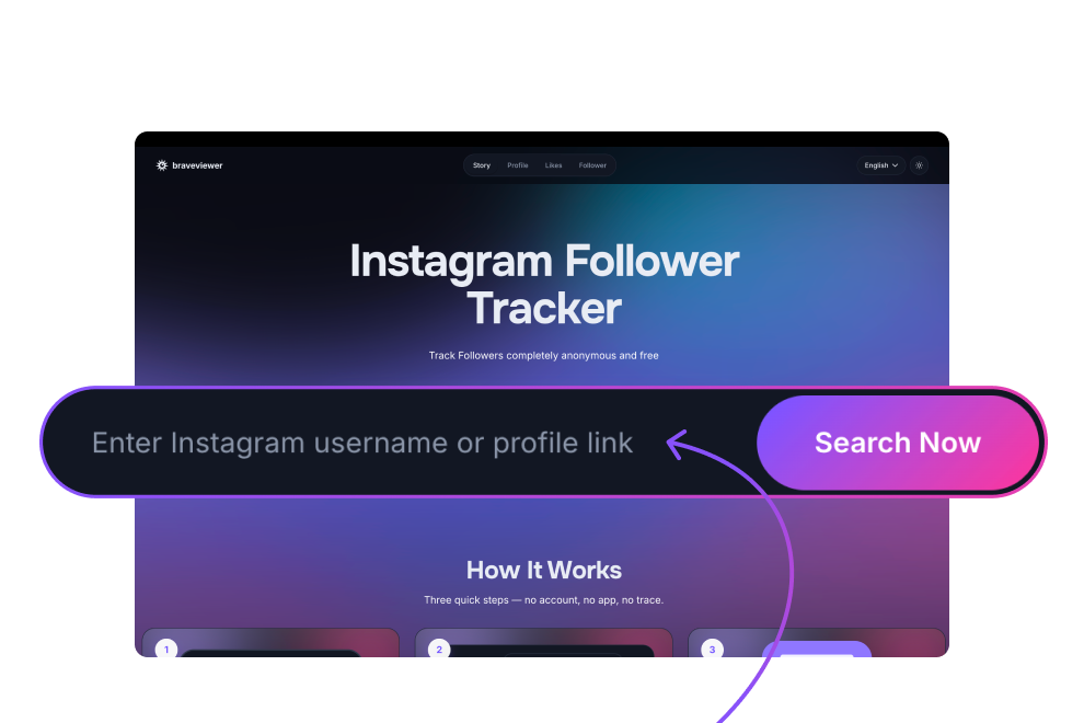 Paste Instagram username into Braveviewer follower tracker