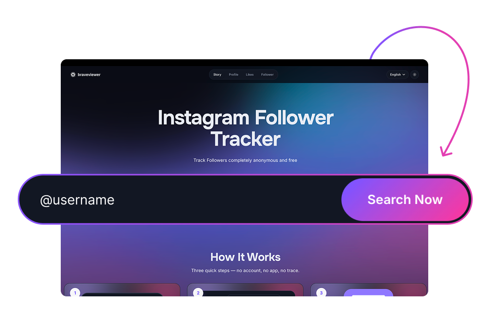 Click Search Now to load Instagram follower data